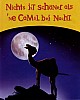 camelh28nacht