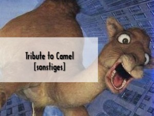 Die legendäre Camel-Kampagne